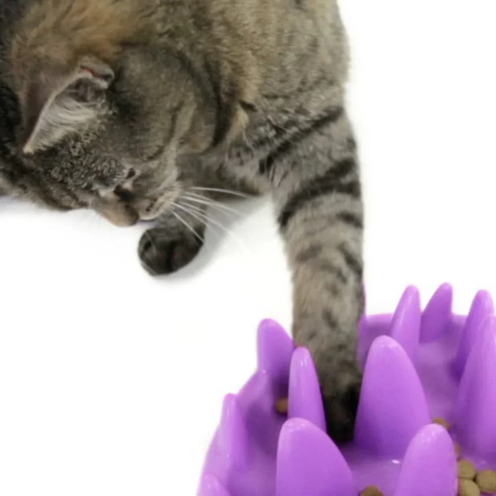 Interactive Cat Feeder/ Toy/ Northmate